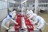 水产加工废料在日用品创新中的应用与探索